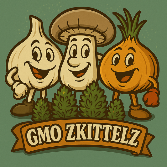 GMO Zkittlez Hanfsamen